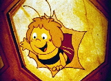 Maja 6